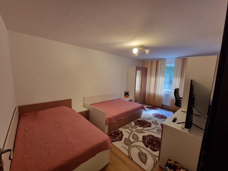 Dristor, Fizicienilor, ocazie