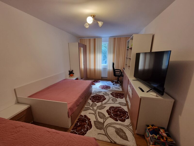 Dristor, Fizicienilor, ocazie