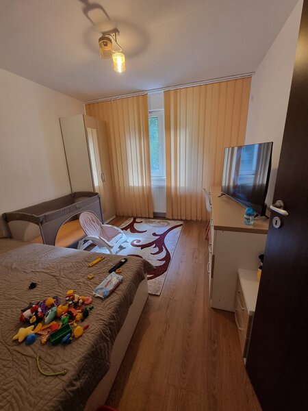 Dristor, Fizicienilor, ocazie