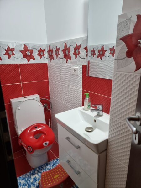 Dristor, Fizicienilor, ocazie